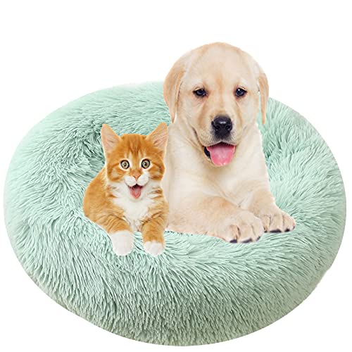 MOZTBH Hundebett, Rund Plüsch Haustierbett Flauschig Waschbares Katzenbett mit Reißverschluss Warme Donut Hundekissen für Haustiere- Green|| Ø 120cm/48in von MOZTBH
