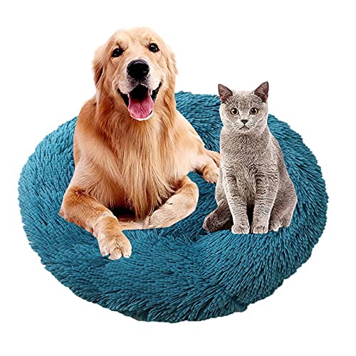 MOZTBH Hundesofa Katzenbett Donut，Rund Hundebett Flauschig Katzenbett Waschbar Weiches Plüsch Donut Haustierbett für Katzen Hunde，Warme Weiche Bequeme Hundesofa-Cyan||Ø32in(Ø80cm) von MOZTBH