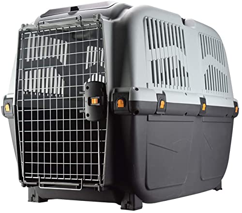 Transportbox für Hund oder Katze Skudo Iata, für den Transport im Auto zugelassen 6 grau Transportbox für Hund oder Katze Skudo Iata, für den Transport im Auto zugelassen 6 grau von MPS SNC