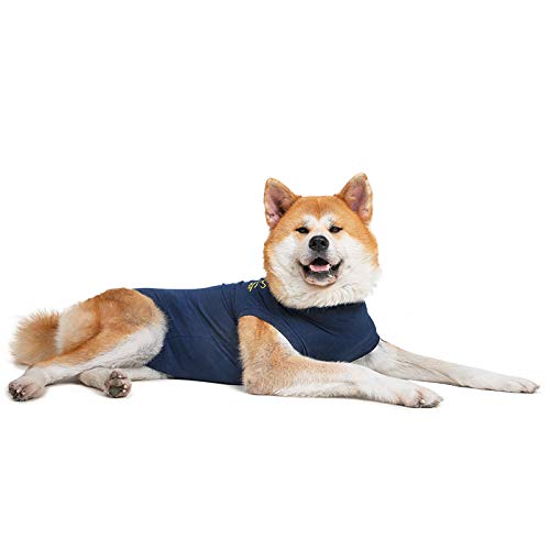 MPS Medical Pet Shirt, Hund, Blau, für XX-große Hunde von MPS