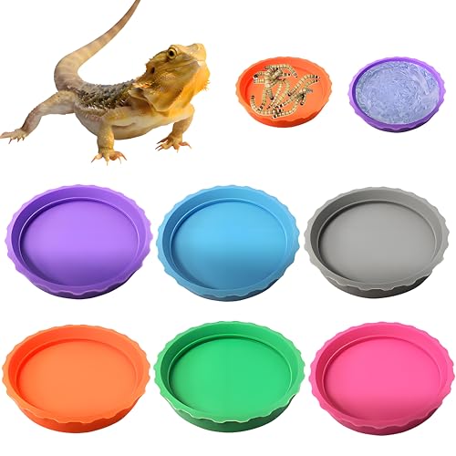 6-teiliges Reptilienschüssel-Set: Futternapf, Gecko und Eidechse, Wasserschale für Schildkröten und Crickethalter für Reptilien von MQACPUPY