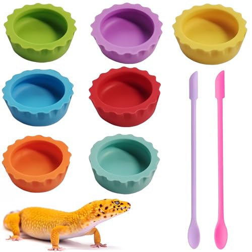 9-teiliges Gecko-Tankzubehör: Futterschale und Futterbecher – Gecko-Futterstation und Eckwassernapf für Reptilien-Tanks von MQACPUPY