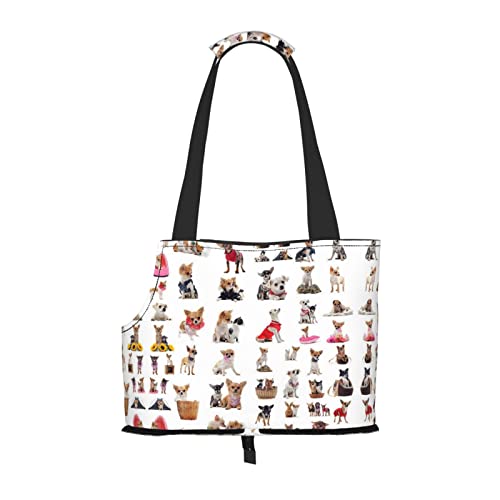 Mqgmz Transporttasche mit niedlichem Chihuahua-Mops-Muster, für Haustiere, mit Tasche für Welpen, Katzen, Mqgmz Transporttasche mit niedlichem Chihuahua-Mops-Muster, für Haustiere, mit Tasche für Welpen, Katzen, von MQGMZ