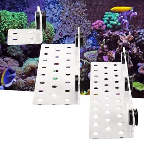 MQODLFP Acryl-Korallenregal für Aquarienfische, Korallenregalhalterung, Acryl, Saugkraft, Korallenfragment-Rack-Halterung, Korallenregal, 32 Löcher MQODLFP Acryl-Korallenregal für Aquarienfische, Korallenregalhalterung, Acryl, Saugkraft, Korallenfragment-Rack-Halterung, Korallenregal, 32 Löcher von MQODLFP