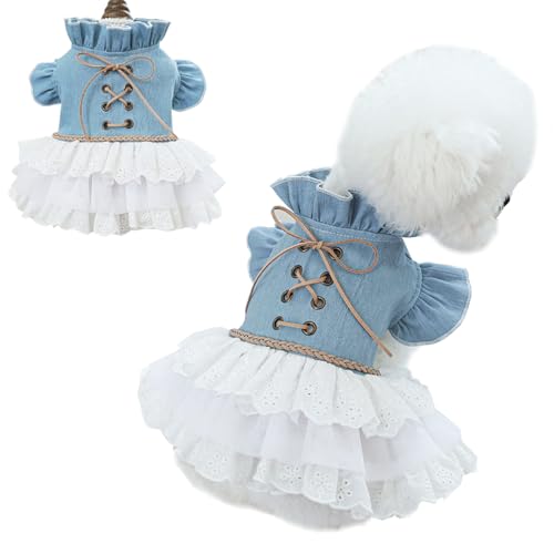MQQYLBHDS Jeanskleid für Mädchen und Hunde, mit ausgestellten Ärmeln, Hunde-Jeansjacke, blau-weiß, Welpenkleidung für kleine Hunde, Katzen, Kleidung, Kuchenrock, Haustier-Outfit (blau, klein) von MQQYLBHDS