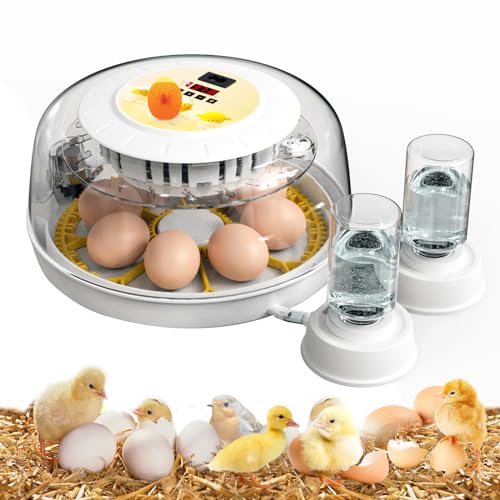 MQUPIN Eierbrüter für Brutküken, 8 Eier Brutkasten mit Temperaturanzeige, Automatisches Eierdrehen und Wasserladen, 360° transparentes Sichtfenster, zum Schlüpfen von Hühnern, Enten und Wachteleiern von MQUPIN