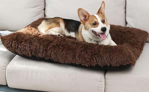 MQXDNFDC Beruhigendes Hundebett mit rutschfester, wasserdichter Unterseite, waschbare Hundebox-Matratze, ultraweiches langes Plüsch-Haustier-rechteckiges Kissen für große, mittelgroße und kleine Hunde MQXDNFDC Beruhigendes Hundebett mit rutschfester, wasserdichter Unterseite, waschbare Hundebox-Matratze, ultraweiches langes Plüsch-Haustier-rechteckiges Kissen für große, mittelgroße und kleine Hunde von MQXDNFDC
