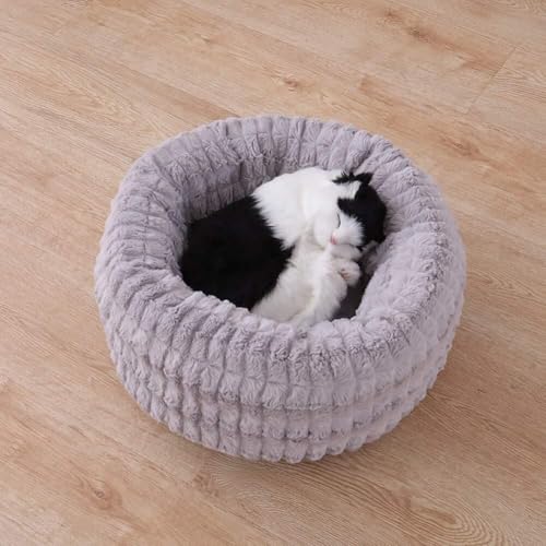 MQXDNFDC Haustierbett für Katzen und kleine mittelgroße Hunde, Kuscheltier mit weichem Kissen, rundes oder ovales Donut-Nisthöhlenbett, Haustier-Katzenbett für Katzen und kleine Hunde, Grau, Größe S MQXDNFDC Haustierbett für Katzen und kleine mittelgroße Hunde, Kuscheltier mit weichem Kissen, rundes oder ovales Donut-Nisthöhlenbett, Haustier-Katzenbett für Katzen und kleine Hunde, Grau, Größe S von MQXDNFDC