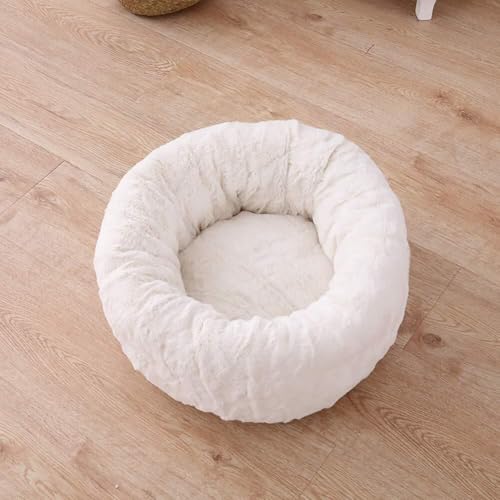MQXDNFDC Haustierbett für Katzen und kleine mittelgroße Hunde, Kuscheltier mit weichem Kissen, rundes oder ovales Donut-Nisthöhlenbett, Haustier-Katzenbett für Katzen und kleine Hunde, Weiß, L (60 x MQXDNFDC Haustierbett für Katzen und kleine mittelgroße Hunde, Kuscheltier mit weichem Kissen, rundes oder ovales Donut-Nisthöhlenbett, Haustier-Katzenbett für Katzen und kleine Hunde, Weiß, L (60 x von MQXDNFDC