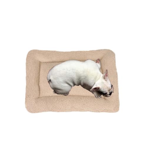 MQXDNFDC Hundebett, weich, warm, waschbar, Matratze, rutschfeste Unterseite, zusammenklappbar, Größe S, M, L, Haustierunterlage für kleine, mittelgroße und große Hunde (Beige, S) von MQXDNFDC