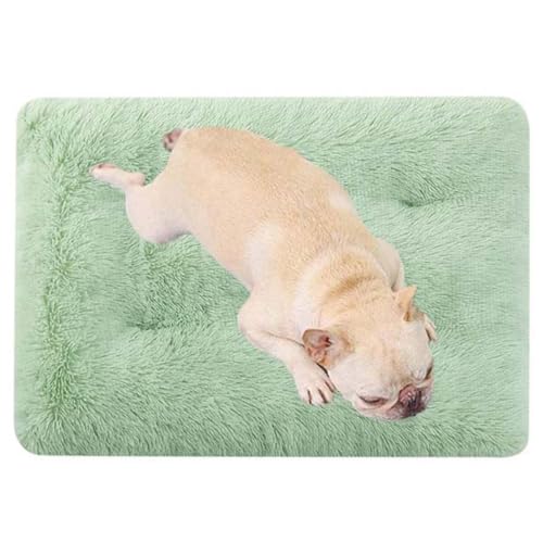 MQXDNFDC Plüsch-Hundebett, weiche Hundebox-Matratze, warmes Hundekissen, waschbar, für Welpen, Katzen, Käfige, rutschfeste Haustierdecke, Bett für drinnen und draußen, Größe S, M, L, XL, XXL (Grün, S MQXDNFDC Plüsch-Hundebett, weiche Hundebox-Matratze, warmes Hundekissen, waschbar, für Welpen, Katzen, Käfige, rutschfeste Haustierdecke, Bett für drinnen und draußen, Größe S, M, L, XL, XXL (Grün, S von MQXDNFDC