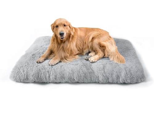 MQXDNFDC Plüsch-Hundebett, weiche Hundebox-Matratze, warmes Hundekissen, waschbar, für Welpen, Katzen, Käfige, rutschfeste Haustierdecke, Bett für drinnen und draußen, S, M, L, XL, XXL (Hellgrau, S-65 MQXDNFDC Plüsch-Hundebett, weiche Hundebox-Matratze, warmes Hundekissen, waschbar, für Welpen, Katzen, Käfige, rutschfeste Haustierdecke, Bett für drinnen und draußen, S, M, L, XL, XXL (Hellgrau, S-65 von MQXDNFDC