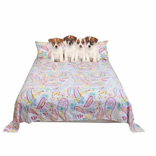 MQXDNFDC Weiche Hunde- und Katzenbettdecke, waschbares Sofa, Couchbezug, wasserdichter Hundebettbezug, Möbelschutz, atmungsaktive Haustierdecke für mittelgroße und große Hunde und Katzen (160 x 230 MQXDNFDC Weiche Hunde- und Katzenbettdecke, waschbares Sofa, Couchbezug, wasserdichter Hundebettbezug, Möbelschutz, atmungsaktive Haustierdecke für mittelgroße und große Hunde und Katzen (160 x 230 von MQXDNFDC