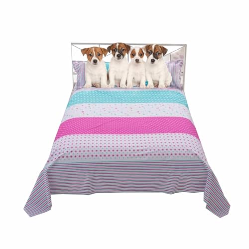 MQXDNFDC Weiche Hunde- und Katzenbettdecke, waschbares Sofa, Couchbezug, wasserdichter Hundebettbezug, Möbelschutz, atmungsaktive Haustierdecke für mittelgroße und große Hunde und Katzen (160 x 230 MQXDNFDC Weiche Hunde- und Katzenbettdecke, waschbares Sofa, Couchbezug, wasserdichter Hundebettbezug, Möbelschutz, atmungsaktive Haustierdecke für mittelgroße und große Hunde und Katzen (160 x 230 von MQXDNFDC