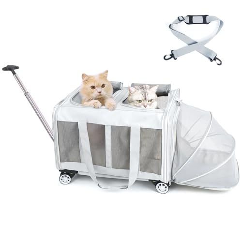 MR.BLACAT Katzentransporttasche mit Rädern & Abnehmbarem Untergestell – Zweikammer-Design, Transportbox Katze Groß für 2 Katzen, Ideal für Reisen, Tierarzt & Camping (55x44x33cm) von MR.BLACAT