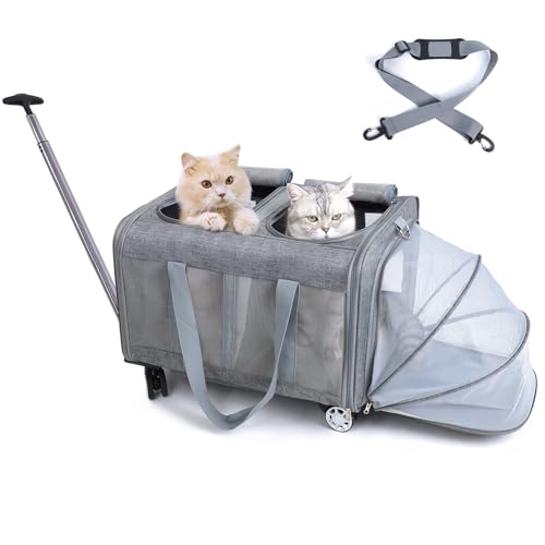 MR.BLACAT Transportbox Katze groß für 2 Katzen mit Rollen – Katzen Trolley für 2 Tiere - Transporttasche mit Rollen & Abnehmbarem Untergestell, Ideal für Reisen, Tierarzt & Camping (55x44x33cm) von MR.BLACAT