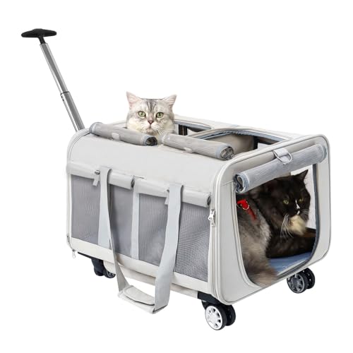MR.BLACAT Katzen Transporttasche mit Rollen für 2 Katzen- Katzen Trolley für 2 Katzen,53 x 44 x 33 cm von MR.BLACAT