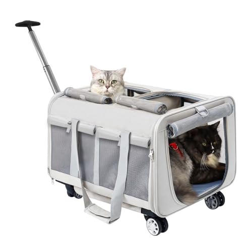 MR.BLACAT Transportbox Katze groß für 2 Katzen mit Rollen – Katzen Trolley für 2 Tiere,Transporttasche mit Rollen & Sicherheitsgurten für Reisen, Tierarzt & Camping (53x44x33 cm) von MR.BLACAT