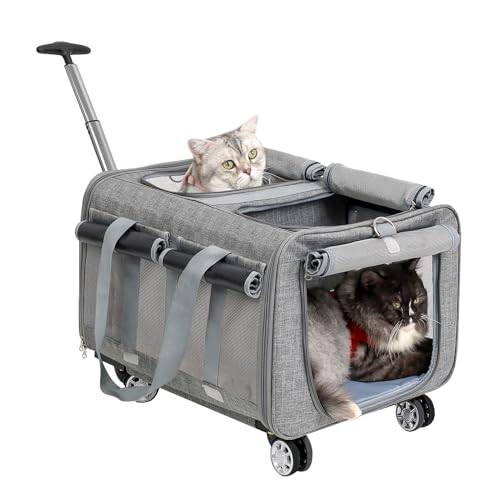 MR.BLACAT Transporttasche Katze für 2 Tiere - Katzen Transportbox mit Rollen für 2 Katzen - Tkatzentasche für 2 Katzen mit Rollen - 53 x 44 x 33 cm von MR.BLACAT