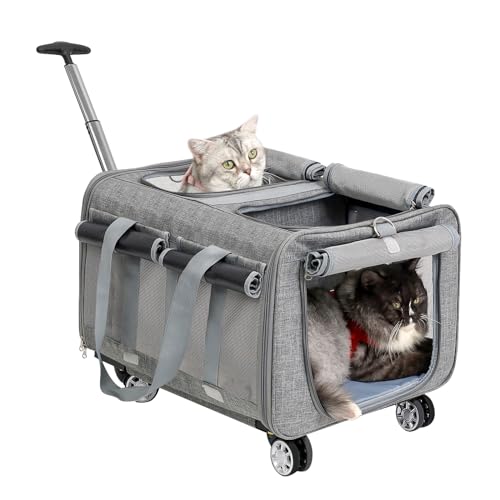 MR.BLACAT Transportbox Katze groß für 2 Katzen mit Rollen – Katzen Trolley für 2 Tiere,Transporttasche mit Rollen & Sicherheitsgurten für Reisen, Tierarzt & Camping (53x44x33 cm) von MR.BLACAT