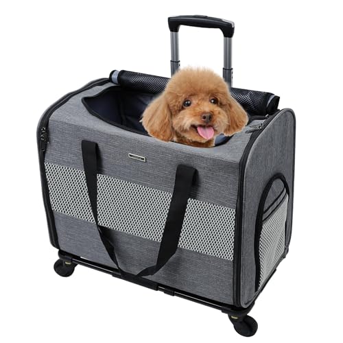 MR.BLACAT Hundetrolley mit Rollen für Kleinen Hund - Hundetransportbox mit Rollen - Hunde Transporttasche mit Rollen für Kleine Hunde bis 10 KG ideal für Schnauzer, Chihuahua von MR.BLACAT