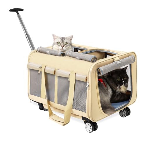 MR.BLACAT Katzen Trolley für 2 Katzen – Katze Transportbox groß mit Rollen für 2 Tiere – Transporttasche mit Rollen & Sicherheitsgurten für Reisen, Tierarzt & Camping (53x44x33 cm) von MR.BLACAT