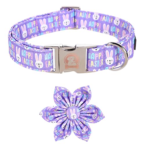MR. CHUBBYFACE Oster-Hundehalsband, violettes Kaninchen mit Blume, verstellbare Fliege für kleine, mittelgroße und große Hunde MR. CHUBBYFACE Oster-Hundehalsband, violettes Kaninchen mit Blume, verstellbare Fliege für kleine, mittelgroße und große Hunde von MR.CHUBBYFACE