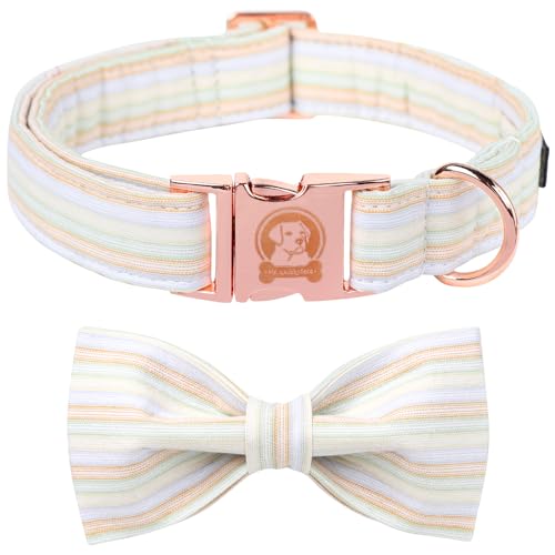 MR.CHUBBYFACE Orange Hundehalsband mit Fliege, süßes Sommer-Hundehalsband für Mädchen, Jungen, Hündinnen, verstellbares Baumwoll-Hundehalsband mit Metallschnalle für X-Small Hunde MR.CHUBBYFACE Orange Hundehalsband mit Fliege, süßes Sommer-Hundehalsband für Mädchen, Jungen, Hündinnen, verstellbares Baumwoll-Hundehalsband mit Metallschnalle für X-Small Hunde von MR.CHUBBYFACE