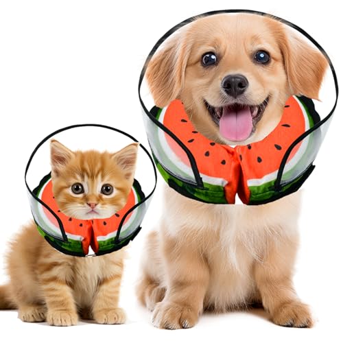 Hundekegel, Chirurgie-Halsband, Hundekegel für kleine, mittelgroße und große Hunde, aufblasbarer Kegel für Hunde, Wassermelonen-Hundehalsband, beeinträchtigt nicht die Sicht, Hunde-Genesungshalsband Hundekegel, Chirurgie-Halsband, Hundekegel für kleine, mittelgroße und große Hunde, aufblasbarer Kegel für Hunde, Wassermelonen-Hundehalsband, beeinträchtigt nicht die Sicht, Hunde-Genesungshalsband von MRSOHRET
