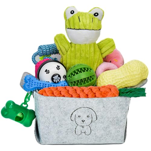 MRSOHRET Kauspielzeug für Welpen, Kauspielzeug für Hunde, mit Seilspielzeug, Hundezahnbürste, Leckerlibälle, Plüschspielzeug und Quietschspielzeug für kleine und mittelgroße Hunde, 20 Stück von MRSOHRET