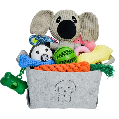 MRSOHRET Kauspielzeug für Welpen, Kauspielzeug für Hunde, mit Seilspielzeug, Hundezahnbürste, Leckerlibälle, Plüschspielzeug und Quietschspielzeug für kleine und mittelgroße Hunde, 20 Stück von MRSOHRET