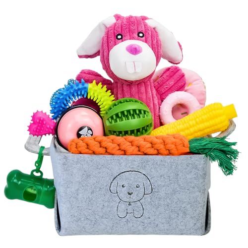 MRSOHRET Kauspielzeug für Welpen, Kauspielzeug für Hunde, mit Seilspielzeug, Hundezahnbürste, Leckerlibälle, Plüschspielzeug und Quietschspielzeug für kleine und mittelgroße Hunde, 20 Stück MRSOHRET Kauspielzeug für Welpen, Kauspielzeug für Hunde, mit Seilspielzeug, Hundezahnbürste, Leckerlibälle, Plüschspielzeug und Quietschspielzeug für kleine und mittelgroße Hunde, 20 Stück von MRSOHRET