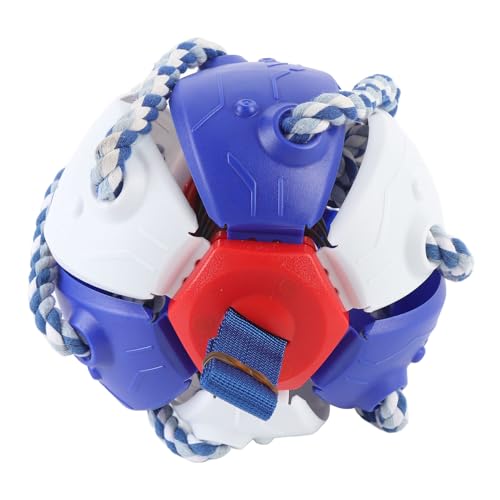 MRSTORY Flyball Hund Wasser Beständiges Spielzeug für Hunde Alle Größen Outdoor Spiele Material Kunststoff (Blau) von MRSTORY