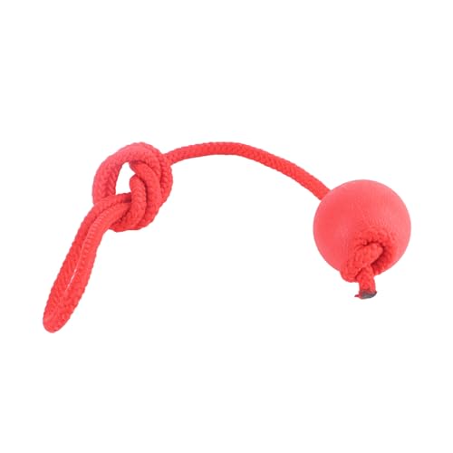 MRSTORY Hundeseilseil-Gummi-sicheres Bit-beständiges für Outdoor-Training (5 cm) von MRSTORY
