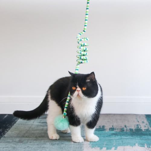 Katze Spielzeug Hängende Kugel Interaktive Weiche Tür Spaß Stimulierung Emotion Besitzer und Tier Interieur Plüsch PVC Polyester 6cm 70 180cm (Grün) von MRSTORY