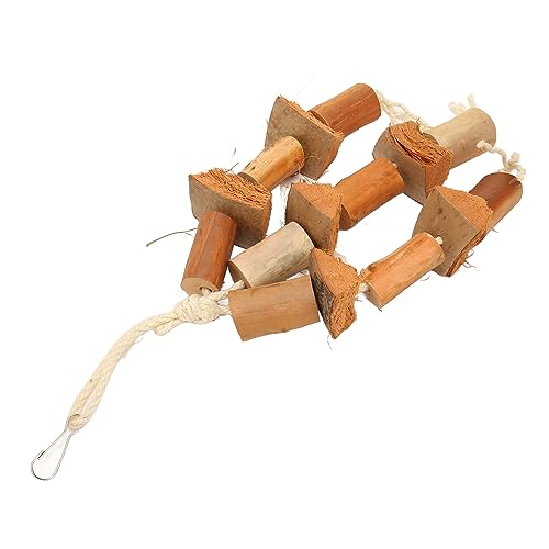 Vogelkauspielspielzeugprotokolle Kokosnussschalenschnabel und Klauenschleiftagentagentübung Käfigspielzeug für Conures Cockatiels Budgie Schöne Vögel Premium Safe Vogelkauspielspielzeugprotokolle Kokosnussschalenschnabel und Klauenschleiftagentagentübung Käfigspielzeug für Conures Cockatiels Budgie Schöne Vögel Premium Safe von MRSTORY