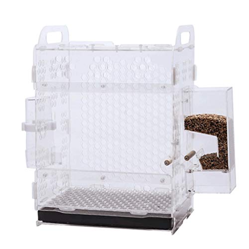 Vogelkäfig Vogelkäfig Vogelzucht Käfigmaterial und geschmacksneutrales Vogelzubehör Material Transparenz Hochdekorativ Starkes Vogelkäfighaus for Sittiche Vogelkäfig Vogelkäfig Vogelzucht Käfigmaterial und geschmacksneutrales Vogelzubehör Material Transparenz Hochdekorativ Starkes Vogelkäfighaus for Sittiche von MRXFN