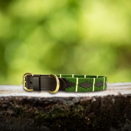 Lederne Hundehalsband Im Polo-Stil – Handgefertigt Aus Premiumleder – Robuste Schnalle – In 5 Größen & Mehreren Farben – MTB Equestrian (Grün/Weiß, XL) von MTB Equestrian