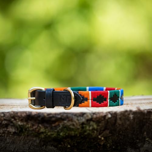 Lederne Hundehalsband Im Polo-Stil – Handgefertigt Aus Premiumleder – Robuste Schnalle – In 5 Größen & Mehreren Farben – MTB Equestrian (Mehrfarbig, M) von MTB Equestrian