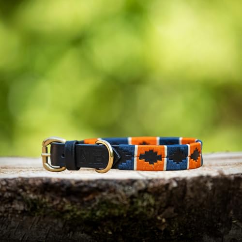 Lederne Hundehalsband Im Polo-Stil – Handgefertigt Aus Premiumleder – Robuste Schnalle – In 5 Größen & Mehreren Farben – MTB Equestrian (Orange/Blau, XS) von MTB Equestrian