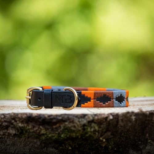 Lederne Hundehalsband Im Polo-Stil – Handgefertigt Aus Premiumleder – Robuste Schnalle – In 5 Größen & Mehreren Farben – MTB Equestrian (Orange/Braun/Grau, M) von MTB Equestrian