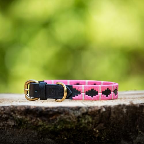 Lederne Hundehalsband Im Polo-Stil – Handgefertigt Aus Premiumleder – Robuste Schnalle – In 5 Größen & Mehreren Farben – MTB Equestrian (Rosa/Weiß, M) von MTB Equestrian