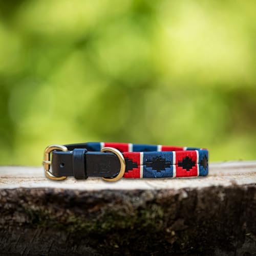 Lederne Hundehalsband Im Polo-Stil – Handgefertigt Aus Premiumleder – Robuste Schnalle – In 5 Größen & Mehreren Farben – MTB Equestrian (Rot/Weiß/Blau, M) von MTB Equestrian