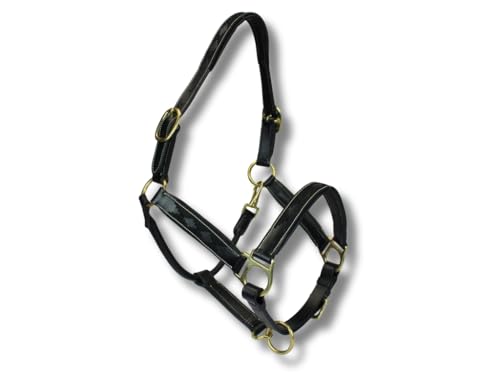 MTB Equestrian Exklusives Lederhalfter Mit Polo-Design – Beidseitig Verstellbar – Hochwertiges Leder – 10 Farbvarianten – Cob & Full (Schwarz, Cob) von MTB Equestrian
