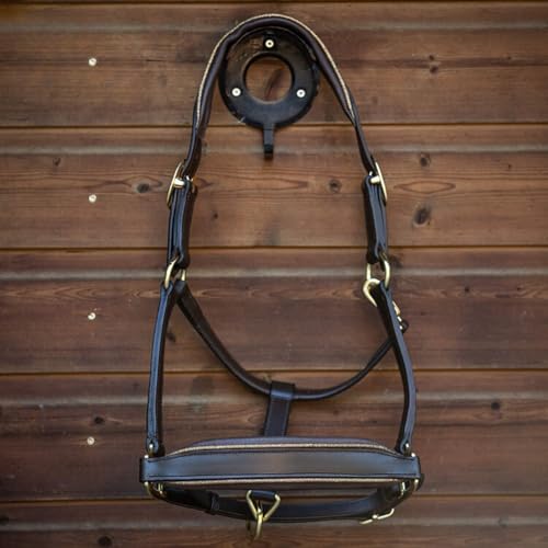 MTB Equestrian Lederhalfter Mit Glitzer-Details – Anatomisch Geformt, Weich Gepolstert & Beidseitig Verstellbar – Cob & Full (Braun/Gold, Pony) von MTB Equestrian