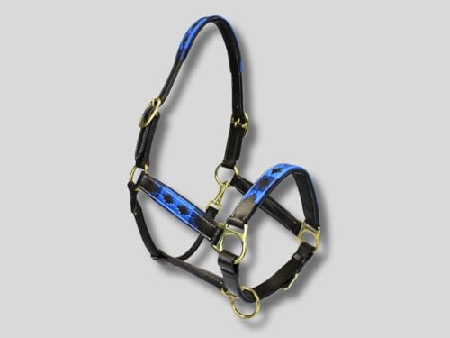 MTB Equestrian - Lederhalfter Soft Polo - Echtes Leder - Halfter - Verstellbare Schnallen - Weiche Polsterung - Sicher - Robust - Pferd - Equestrian - Tierfreundlich (Blau-Weiß, Full) von MTB Equestrian