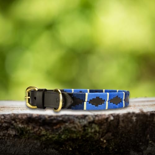 Lederne Hundehalsband Im Polo-Stil – Handgefertigt Aus Premiumleder – Robuste Schnalle – In 5 Größen & Mehreren Farben – MTB Equestrian (Blau, S) von MTB Equestrian