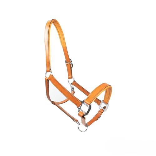 MTB Equestrian Weiches Lederhalfter Für Pferde – Vollständig Gepolstert – Beidseitig Verstellbar – Schwarz, Cognac Oder Dunkelbraun – Pony, Cob & Full (Cognac, Pony) von MTB Equestrian