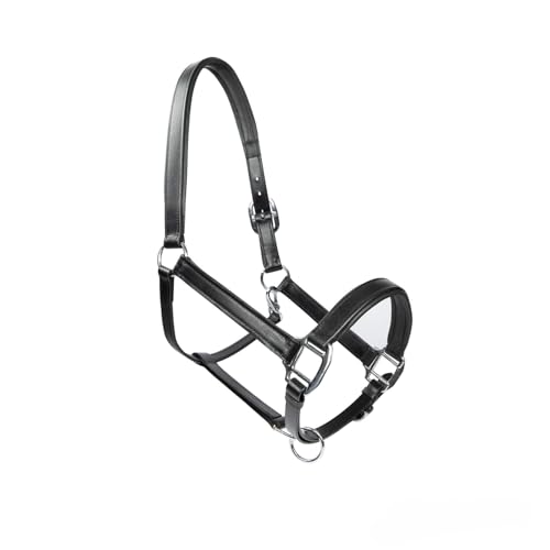 MTB Equestrian Weiches Lederhalfter Für Pferde – Vollständig Gepolstert – Beidseitig Verstellbar – Schwarz, Cognac Oder Dunkelbraun – Pony, Cob & Full (Schwarz, Cob) von MTB Equestrian