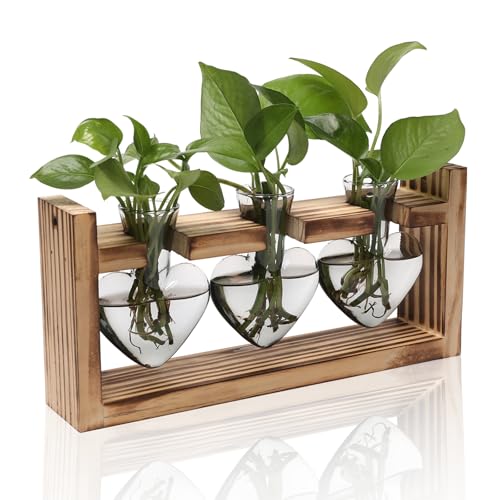 MTsigns Pflanzen-Terrarium, Anzuchtstationen, Hydrokultur, Haus- und Gartendekoration, Geschenk für Frauen, mit Holzständer, herzförmig, farbige Glasvase von MTsigns
